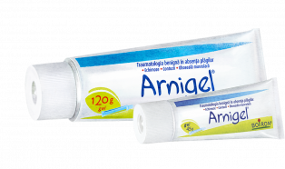 Arnigel